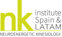 NKInstitute Logo